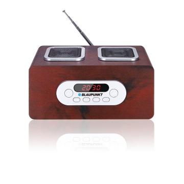 Blaupunkt PP5BR radio Portable Wood