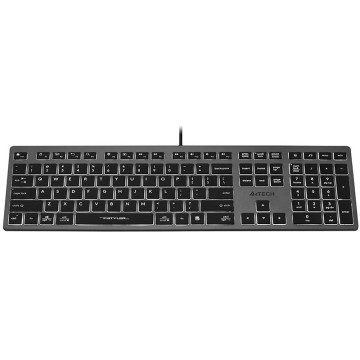 A4Tech FSTYLER FX60H (White Backlit) keyboard USB QWERTY Black  Grey