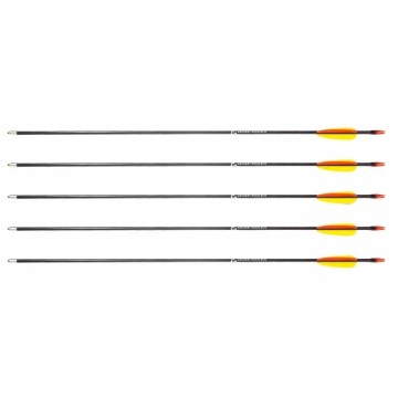 Poe Lang 28’ fibreglass arrows - set of 5 (D-055-B3)
