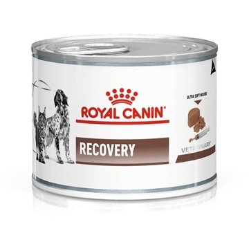 ROYAL CANIN Recovery - Wet dog and cat food - 195g