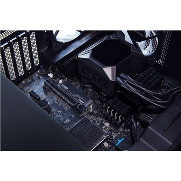 Kingston Technology 512G KC3000 M.2 2280 NVMe SSD