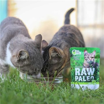 RAW PALEO Adult Cat Sterilised Game - wet cat food - 100 g