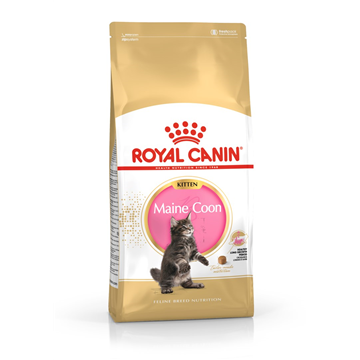 ROYAL CANIN Maine Coon Kitten- dry cat food - 4 kg