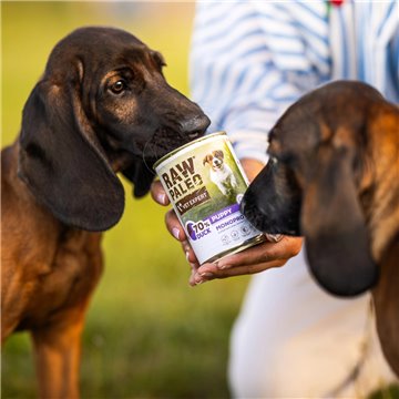 RAW PALEO Puppy Monoprotein Duck - wet food for puppies - 400 g