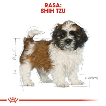 ROYAL CANIN Shih Tzu Puppy - dry dog food - 1 5 kg