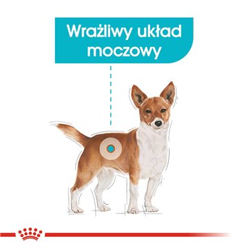 ROYAL CANIN Mini Urinary Care - dry dog food - 3 kg