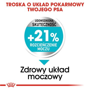 ROYAL CANIN Mini Urinary Care - dry dog food - 1 kg
