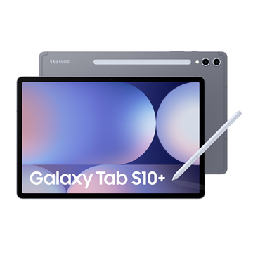 Samsung S10+ 5G 256 GB 31.5 cm (12.4 ) 12 GB Android 14 Grey