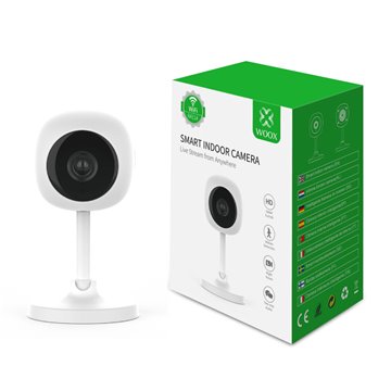Smart Camera WiFi Full HD 2 MP Controllo Vocale Alexa Google, R4114