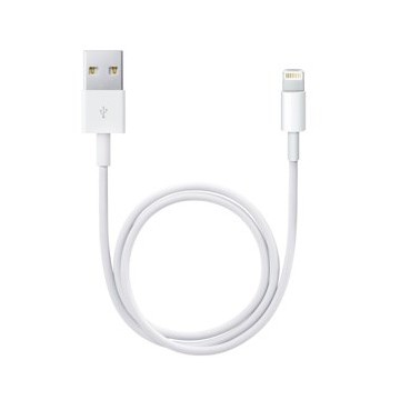 Apple Lightning to USB Cable (0.5 m)