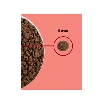ACANA Highest Protein Indoor Cat - dry cat food - 4 5kg