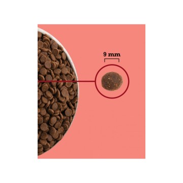 ACANA Highest Protein Indoor Cat - dry cat food - 1 8kg