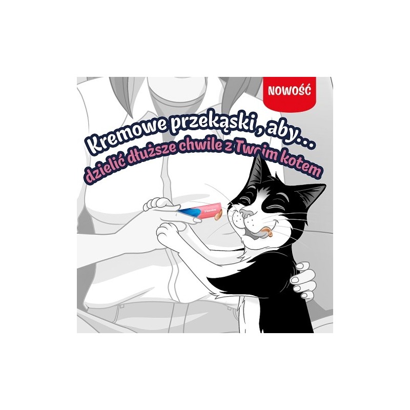 PURINA Felix Deli Moments Salmon - cat treats - 4x10g PURINA Felix Deli Moments Salmon - cat treats - 4x10g
