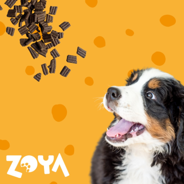 ZOYA ColdPRO Lamb - dry dog food - 1kg