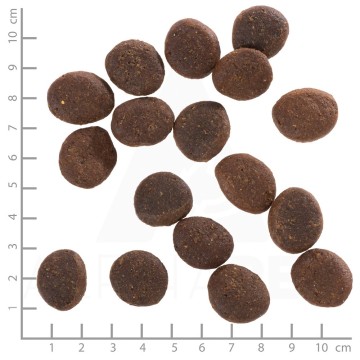 WOLFSBLUT Polar Night Reindeer with sweet potatoes - dry dog food - 12 5kg