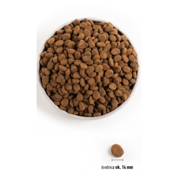 ORIJEN Tundra - dry dog food - 11 4kg