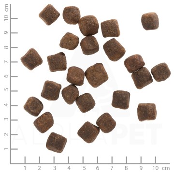 WOLFSBLUT Dark Forest Venison with sweet potatoes - dry dog food - 12 5kg