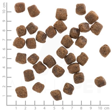 WOLFSBLUT Black Bird Turkey - dry dog food - 12 5kg
