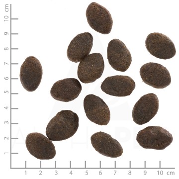 WOLFSBLUT Wild Pacific Fish with potatoes - dry dog food - 12 5kg