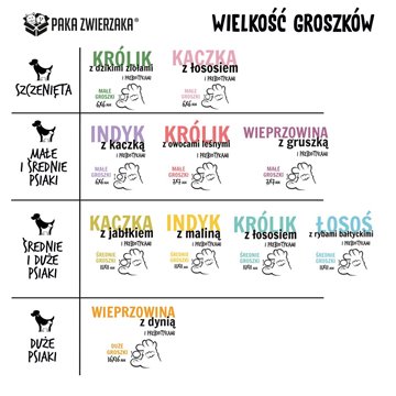 PAKA ZWIERZAKA Turkey with raspberry M - dry dog food - 9kg