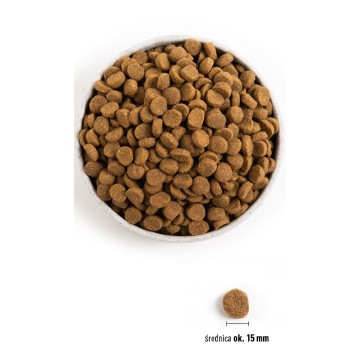 ACANA Dog Puppy Large Breed - dry dog food - 17kg