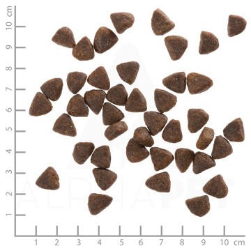 WOLFSBLUT Wild Duck Duck with potatoes - dry dog food - 12 5kg