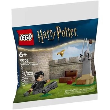 LEGO HARRY POTTER 30706 Quidditch Lesson